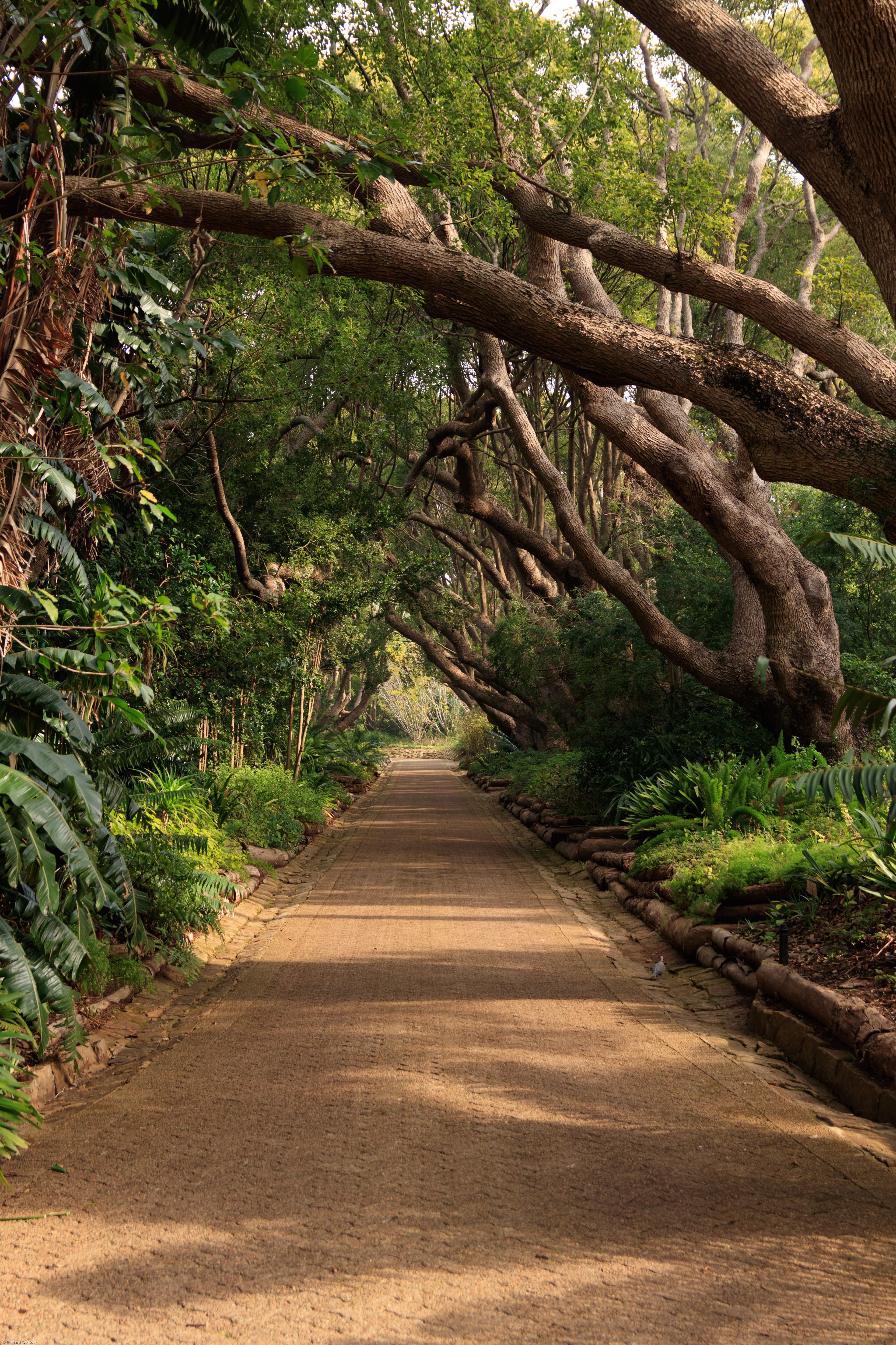 Garden Route