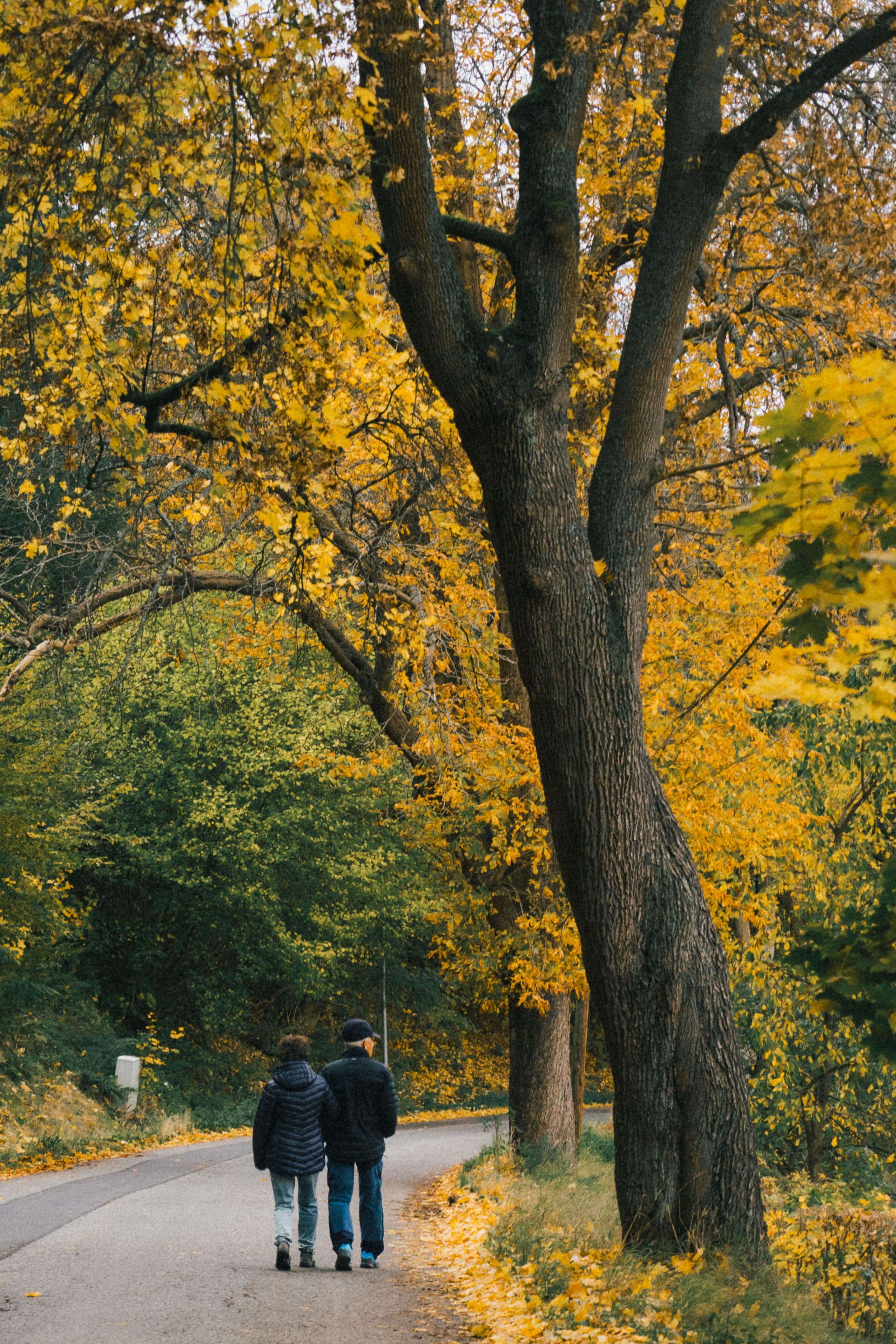 Romantic Road