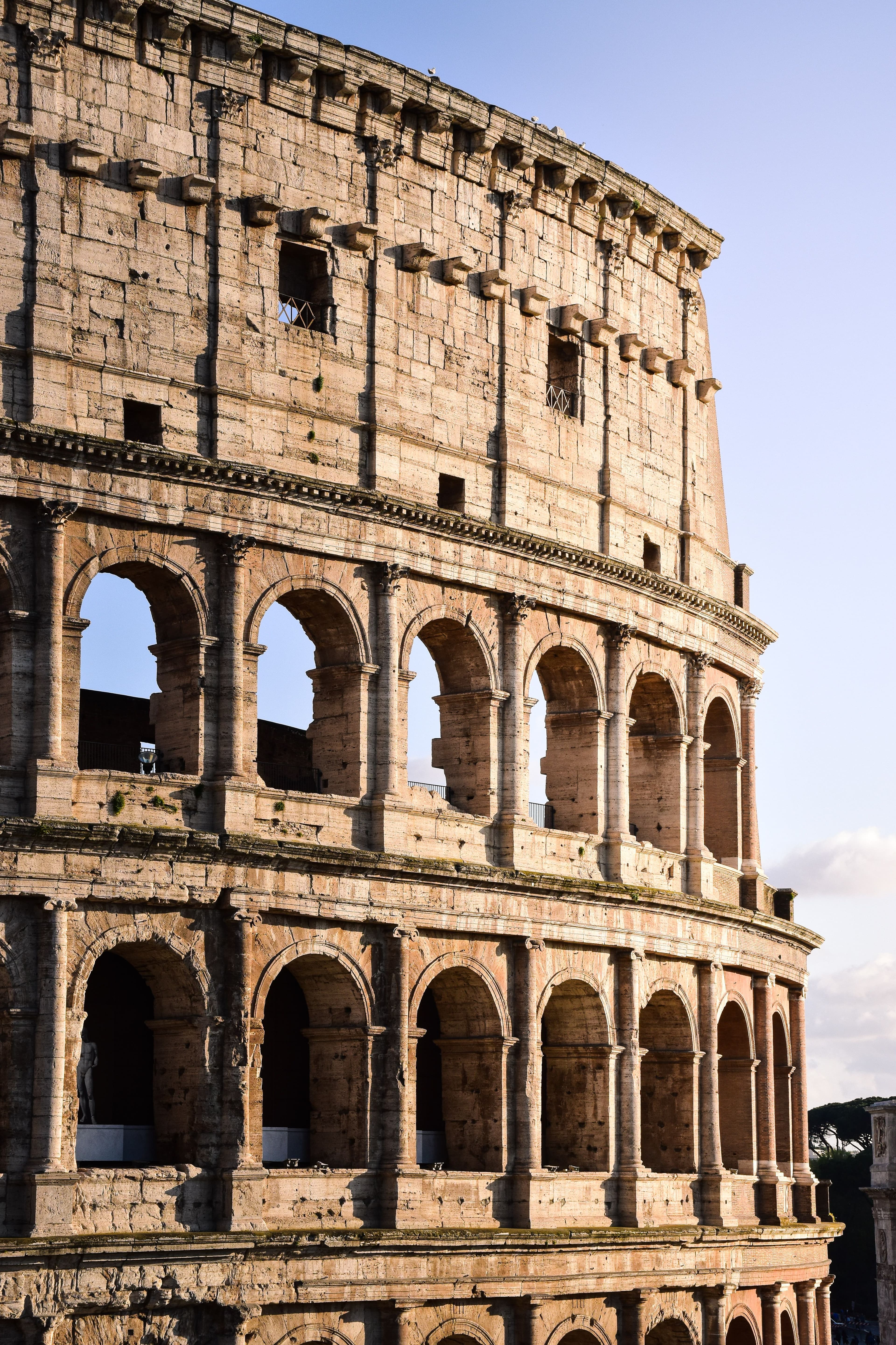 Rome & Ancient History