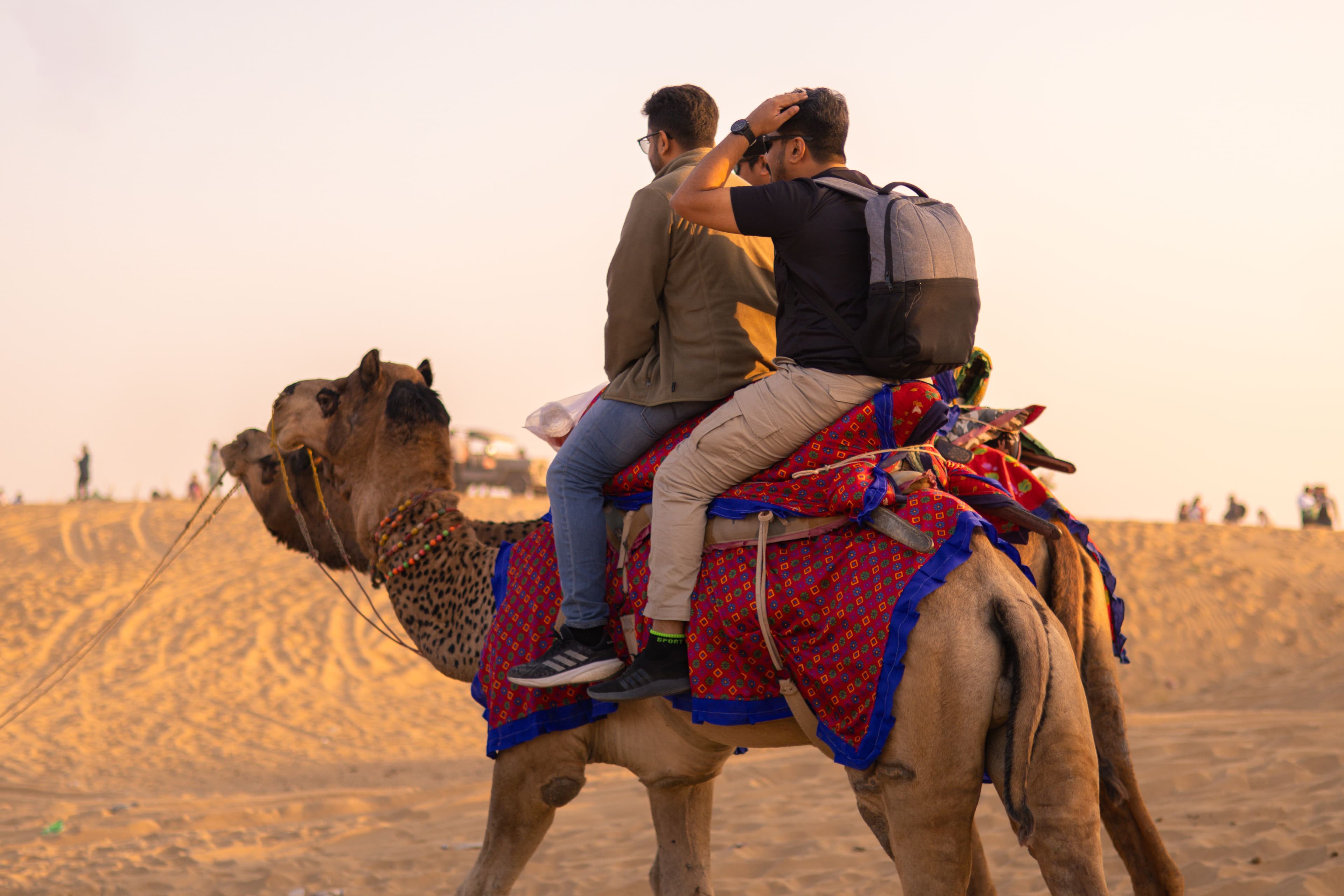 Desert Safari Experience